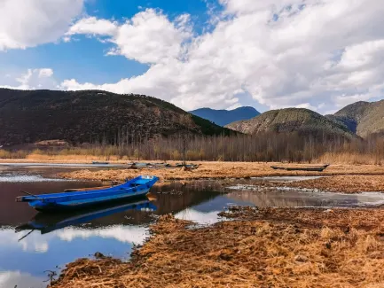 Winning Casino Mobil App